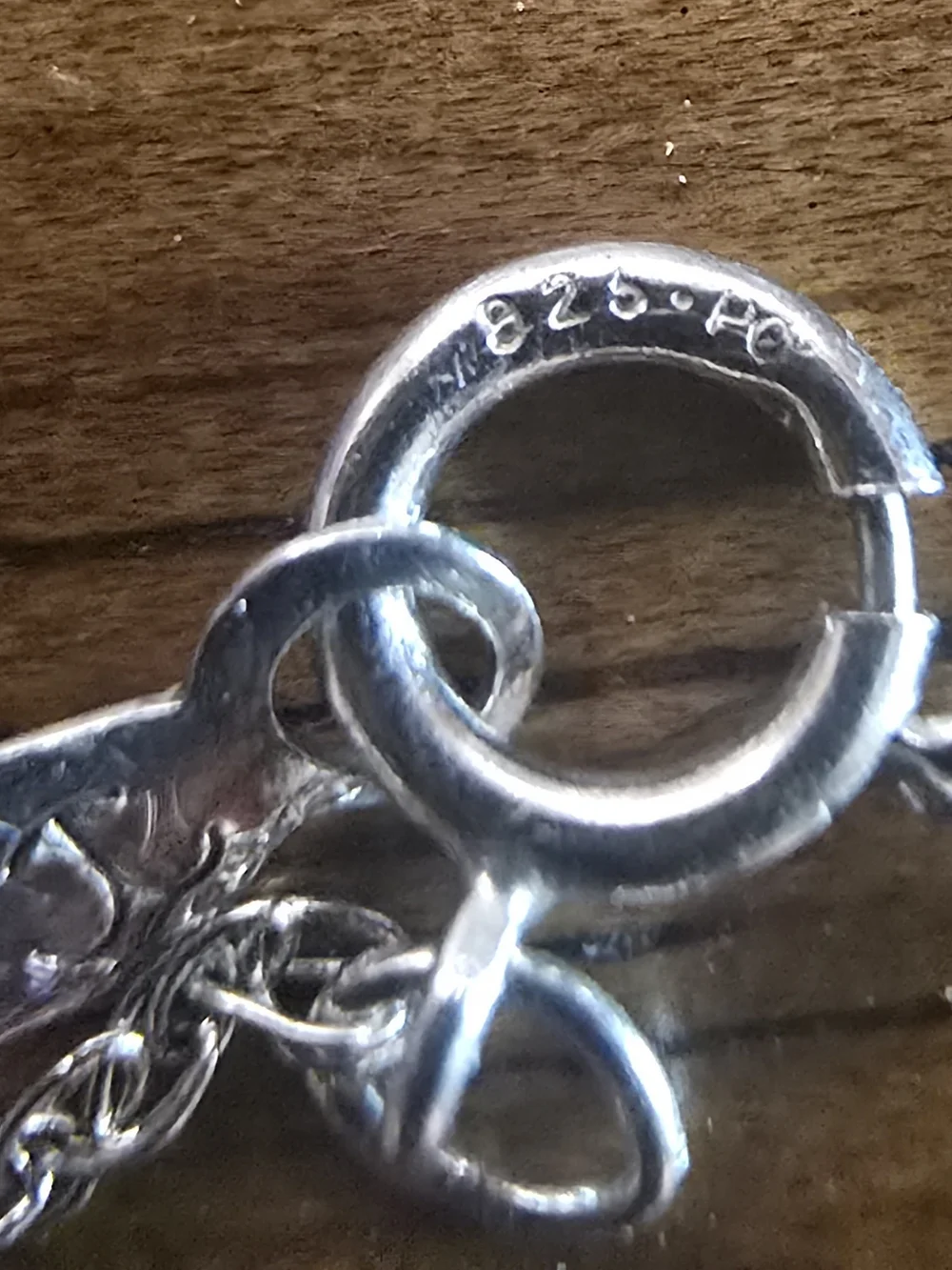 Sterling Silver Dolphin Pendant With Necklace 21